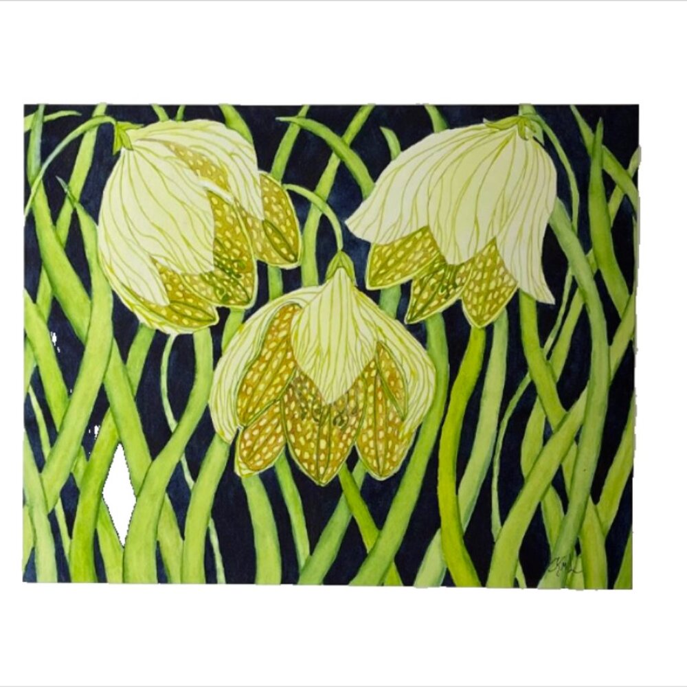 PAINTING WATERCOLOR ORIGINAL ART FLOWER FRITILLARIA YELLOW GREEN 11X14 MAT 16X20